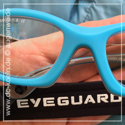 progear_eyeguard
